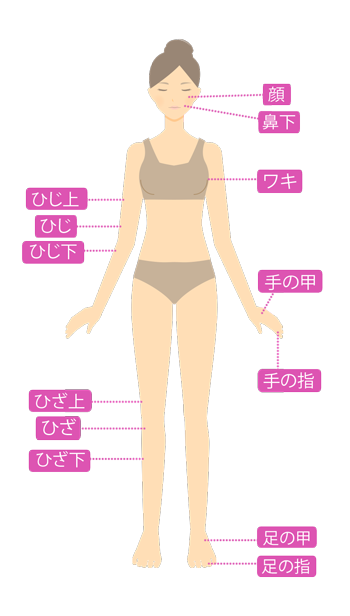 脱毛箇所